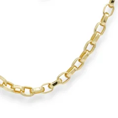 Výrazný zlatý řetízek Anker 65cm 12,62g