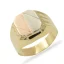 Pánský prsten z kombinovaného zlata 5,42g