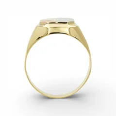 Pánský prsten z kombinovaného zlata 5,42g