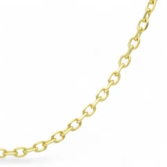 Zlatý řetízek Anker 50cm